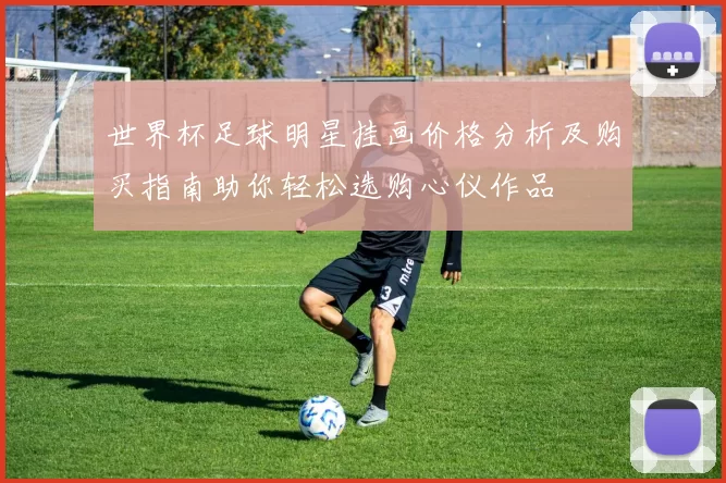 世界杯足球明星挂画价格分析及购买指南助你轻松选购心仪作品