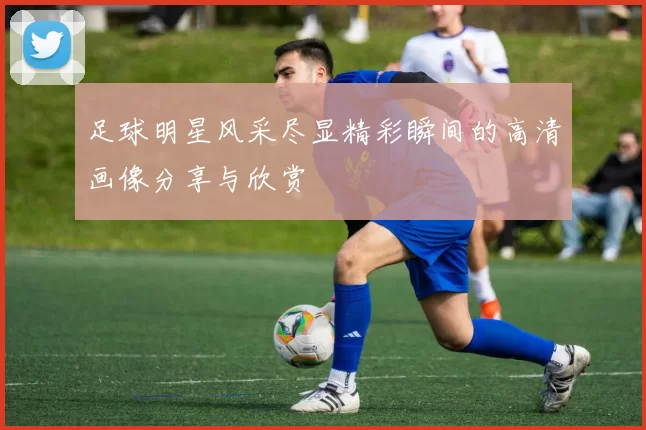 足球明星风采尽显精彩瞬间的高清画像分享与欣赏