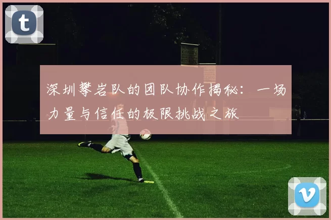 深圳攀岩队的团队协作揭秘：一场力量与信任的极限挑战之旅