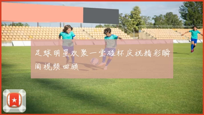 足球明星欢聚一堂碰杯庆祝精彩瞬间视频回顾