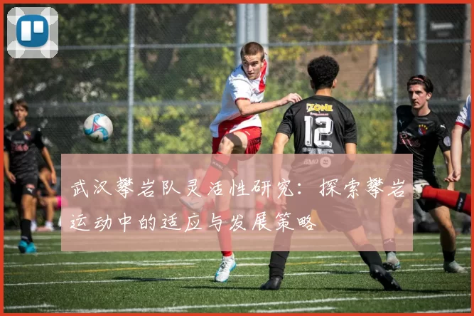 武汉攀岩队灵活性研究：探索攀岩运动中的适应与发展策略