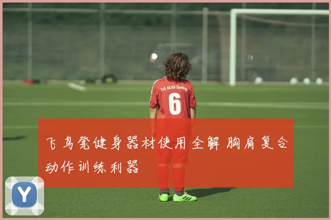 飞鸟凳健身器材使用全解 胸肩复合动作训练利器