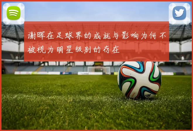谢晖在足球界的成就与影响为何不被视为明星级别的存在