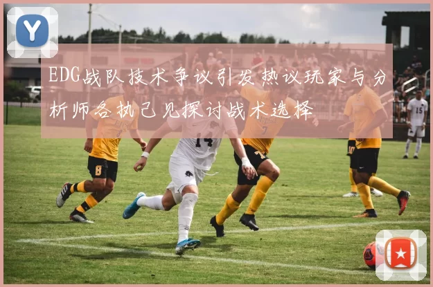 EDG战队技术争议引发热议玩家与分析师各执己见探讨战术选择