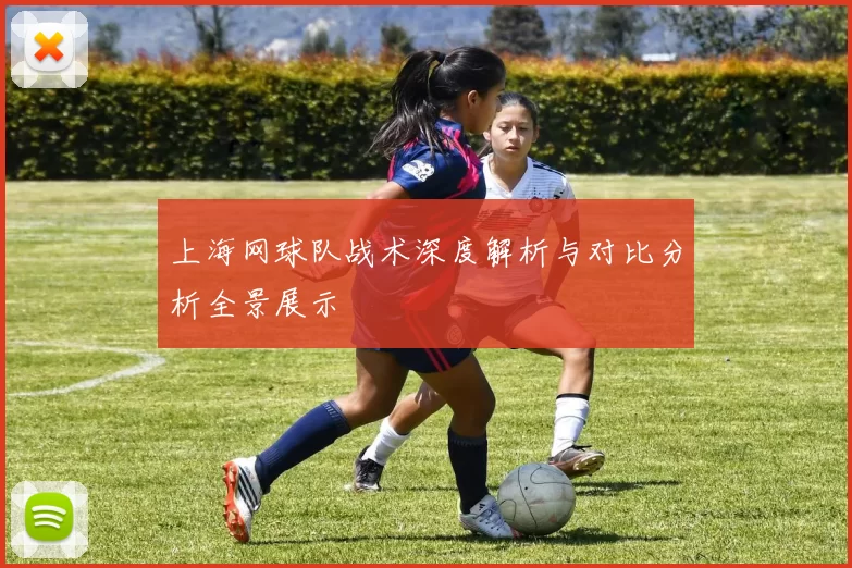 上海网球队战术深度解析与对比分析全景展示