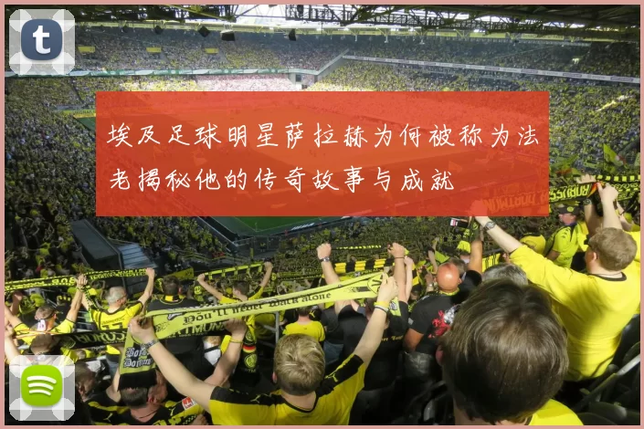 埃及足球明星萨拉赫为何被称为法老揭秘他的传奇故事与成就