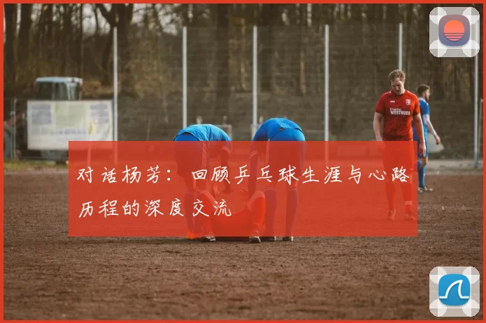 对话杨芳：回顾乒乓球生涯与心路历程的深度交流