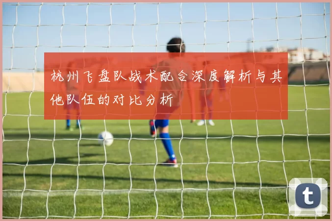 杭州飞盘队战术配合深度解析与其他队伍的对比分析