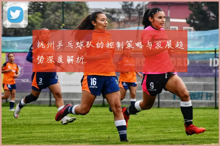 杭州乒乓球队的控制策略与发展趋势深度解析