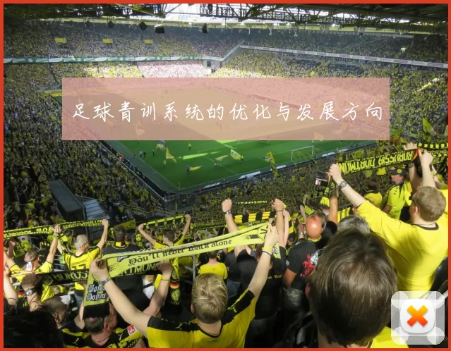 足球青训系统的优化与发展方向