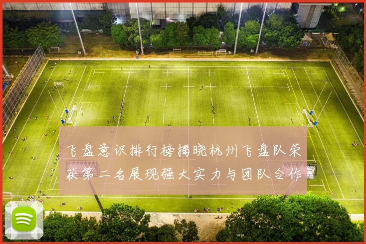 飞盘意识排行榜揭晓杭州飞盘队荣获第二名展现强大实力与团队合作精神