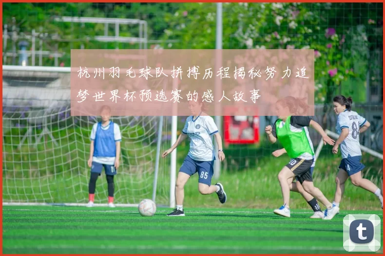 杭州羽毛球队拼搏历程揭秘努力追梦世界杯预选赛的感人故事