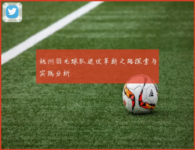 杭州羽毛球队进攻革新之路探索与实践分析
