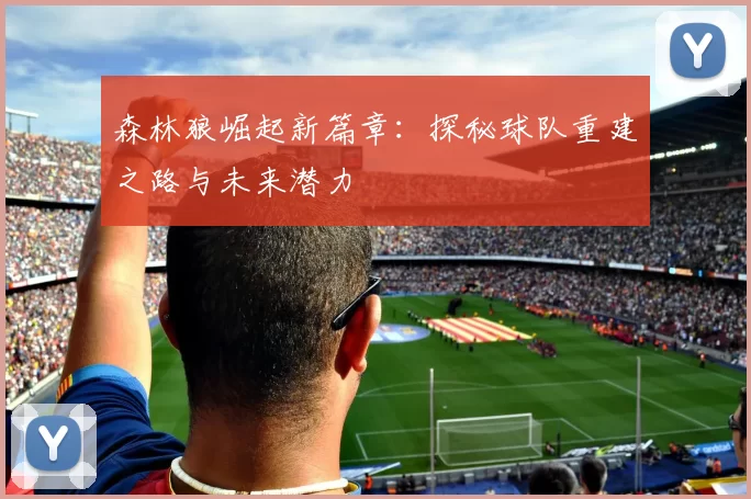 森林狼崛起新篇章：探秘球队重建之路与未来潜力