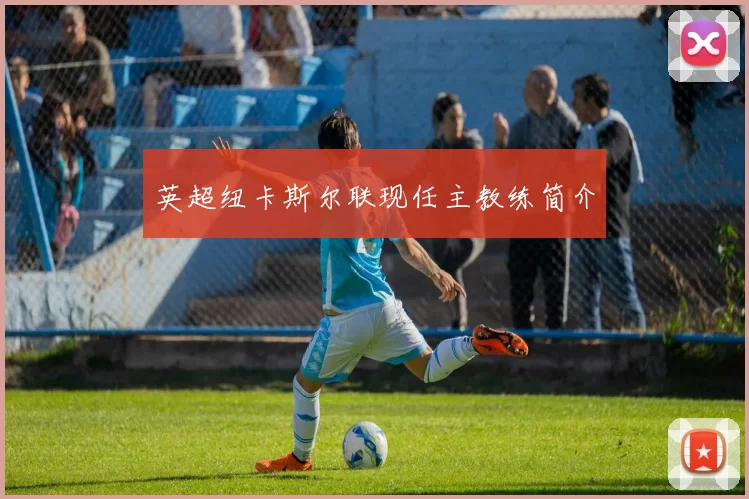 英超纽卡斯尔联现任主教练简介