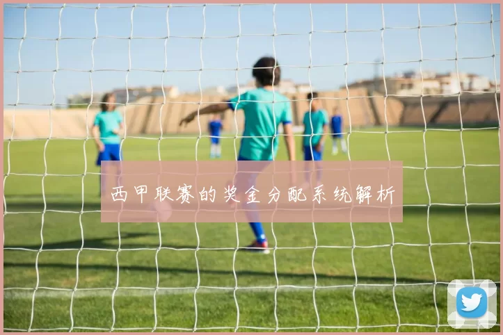 西甲联赛的奖金分配系统解析