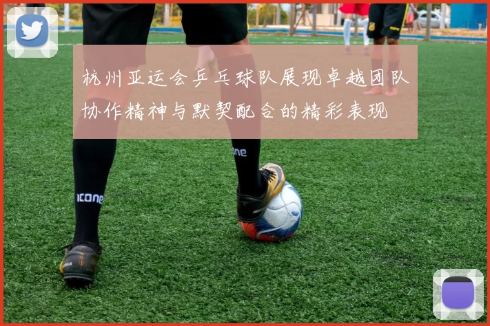 杭州亚运会乒乓球队展现卓越团队协作精神与默契配合的精彩表现