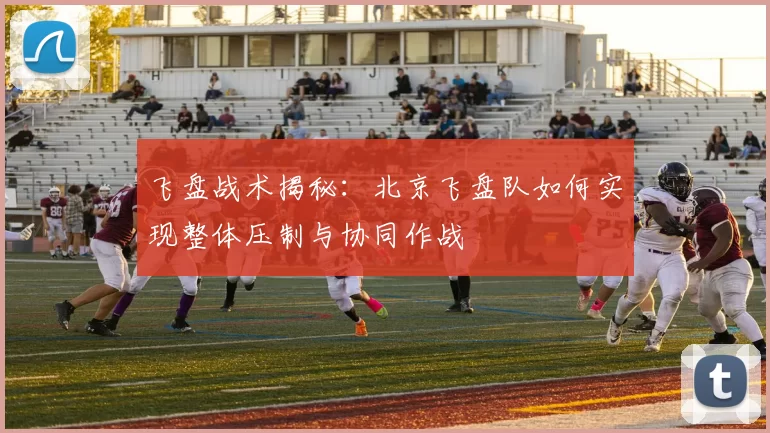 飞盘战术揭秘：北京飞盘队如何实现整体压制与协同作战