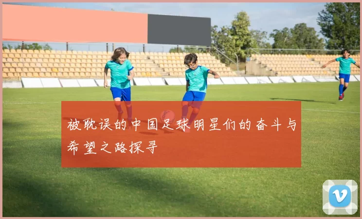 被耽误的中国足球明星们的奋斗与希望之路探寻