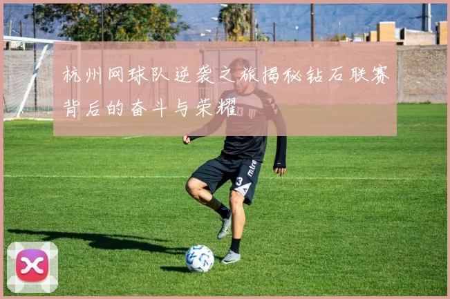 杭州网球队逆袭之旅揭秘钻石联赛背后的奋斗与荣耀